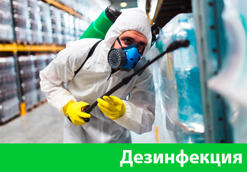 Дезинфекция в городе Ялта