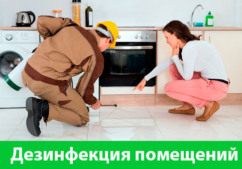 Дезинфекция офисов от коронавируса в городе Ялта
