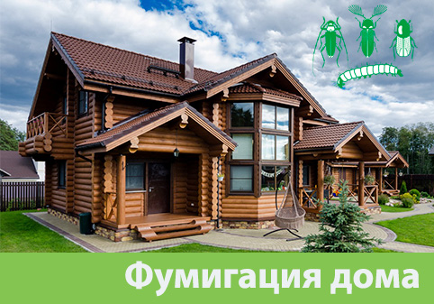 Преимущества обработки газом в городе Ялта