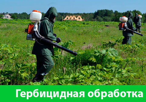 Гербицидная обработка в городе Ялта