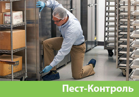 Пэст-Контроль в городе Ялта