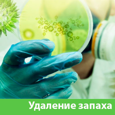 Удаление запахов в Ялте