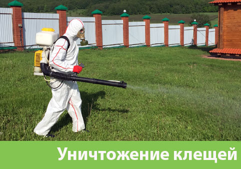 Уничтожение клещей в городе Ялта