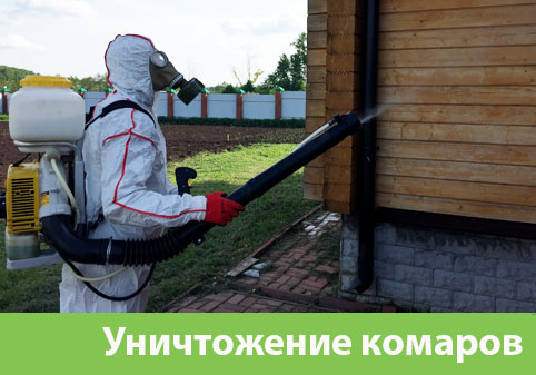 Уничтожение комаров в городе Ялта